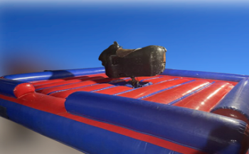 mechanical Bull Rental
